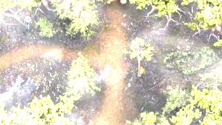 LUST EPIDEMIC - PART 34 - MILF HAREM