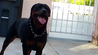 Behind The Scenes Of Samantha Saint's Photoshoot