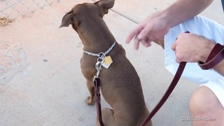 Monster Cock Makes Stunning Babe Zoe Clark Happier Than Ever Before