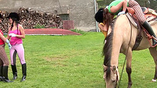 Girls In Riding Clothes And Boots Have A Lesbian Foursome On The Farm