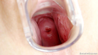 Up Close And Inside The Pussy